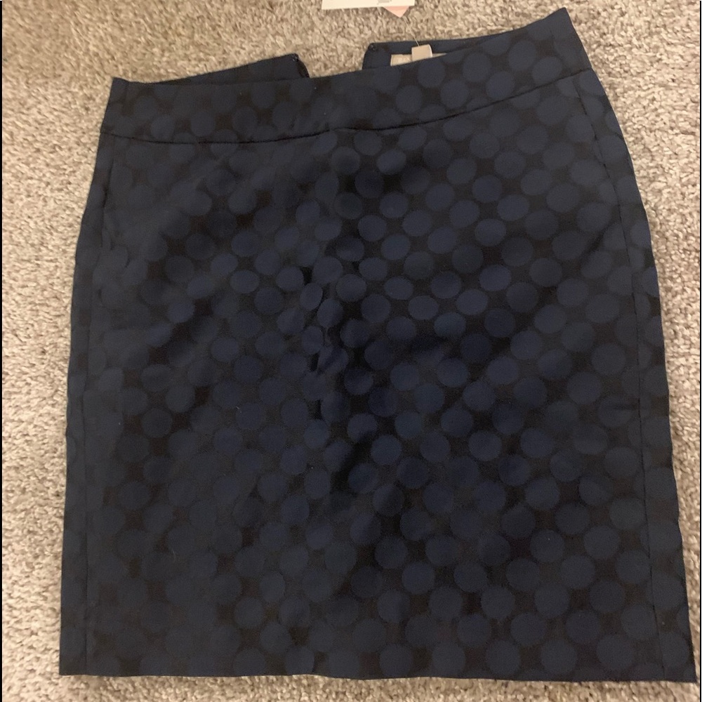 Banana Republic Skirt - Size 0P New with tags